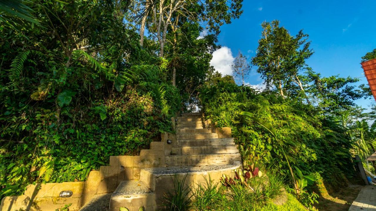 Anja Villas Ubud Tegallalang  Exterior foto